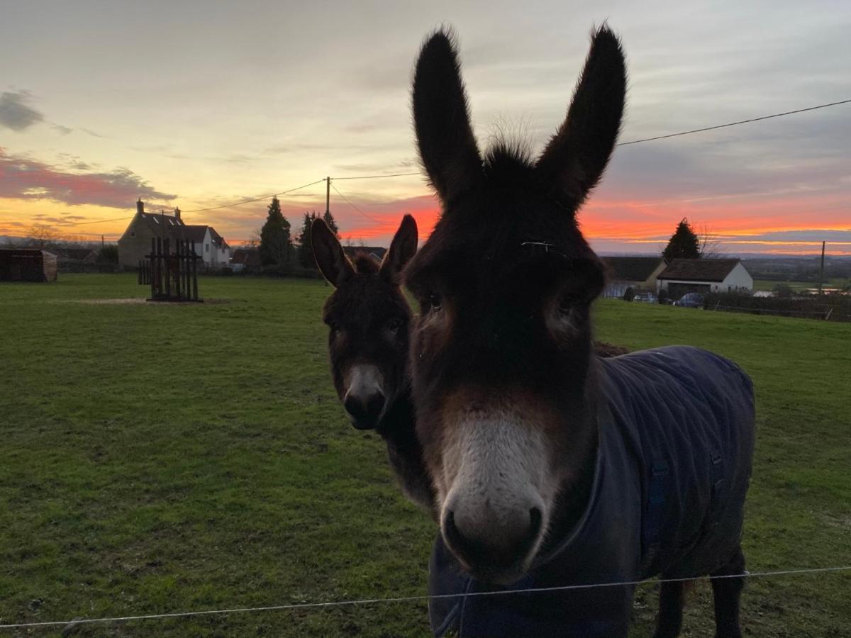 Rew Farm Country & Equestrian Accommodation - Sunrise Lodge Melksham Exterior foto